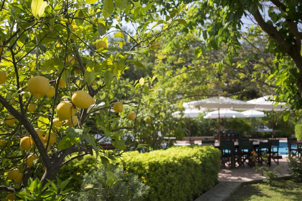 Mr. Dim Exclusive Apart Hotel Göcek Εξωτερικό φωτογραφία